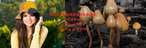 a pvp Нея