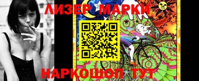 apvp Кингисепп