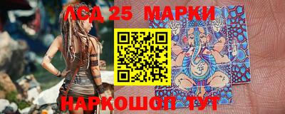 apvp Кингисепп