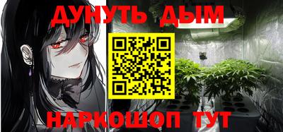 apvp Кингисепп