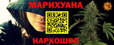 apvp Кингисепп