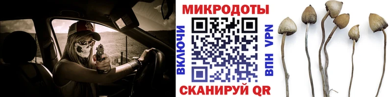 Псилоцибиновые грибы Psilocybe  Балашов 