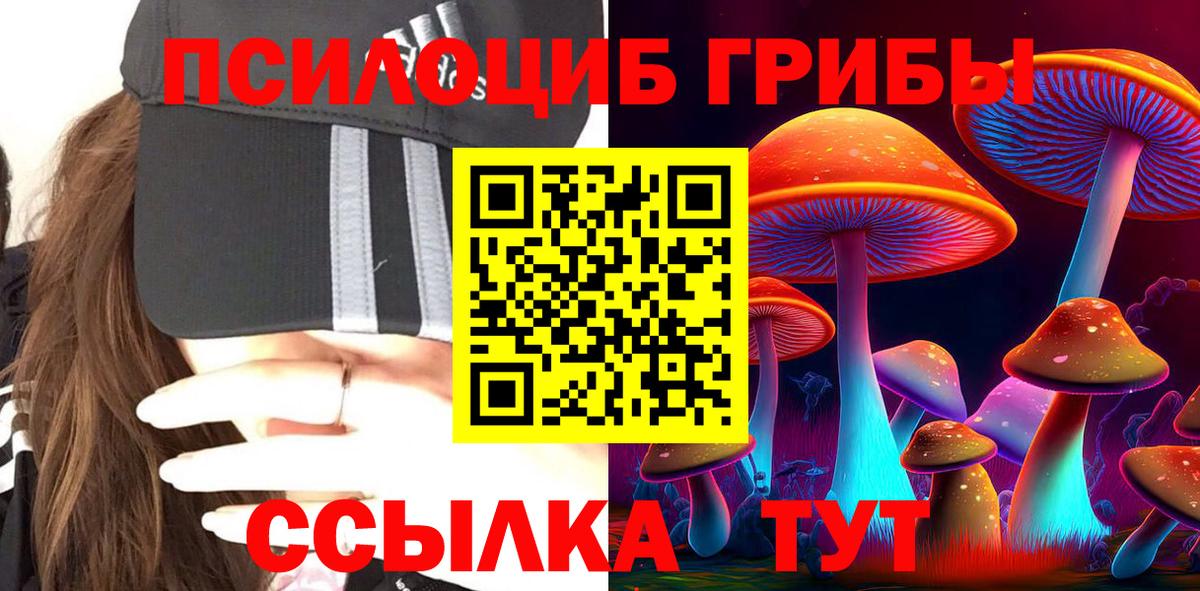 Галлюциногенные грибы MAGIC MUSHROOMS  Вход с VPN  Балашов  Псилоцибиновые грибы ЛСД 